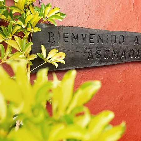 La Asomada Las Palmas / Gran Canaria